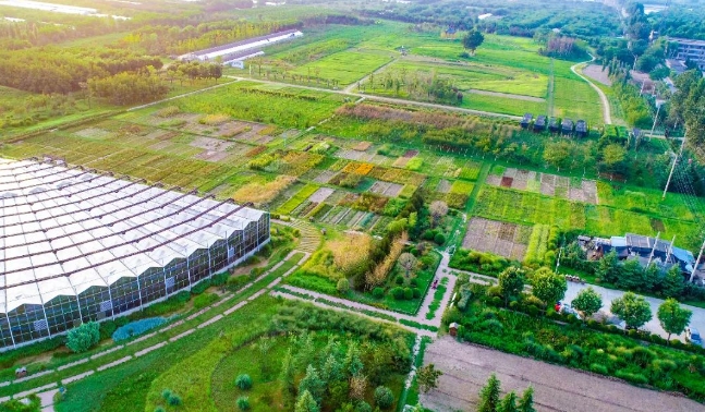 聚焦美丽中国建设|中林生态环境以林草科技稳步推进陕西秦岭北麓主体山水林田湖草沙一体化保护和修复工程临潼山水项目