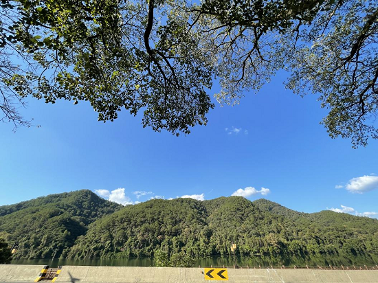 【开好局 起好步】中林三明推进油茶林下经济，按下绿色发展“快进键”
